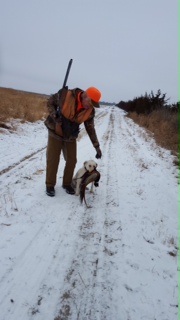 Dog and Pheasant